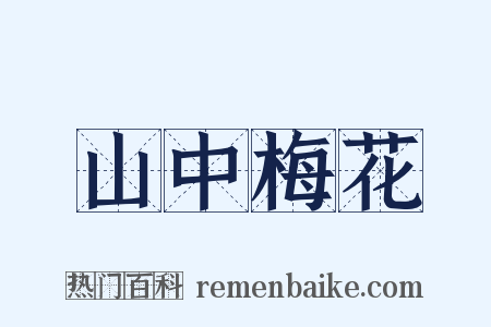 山中梅花是什么意思的图片